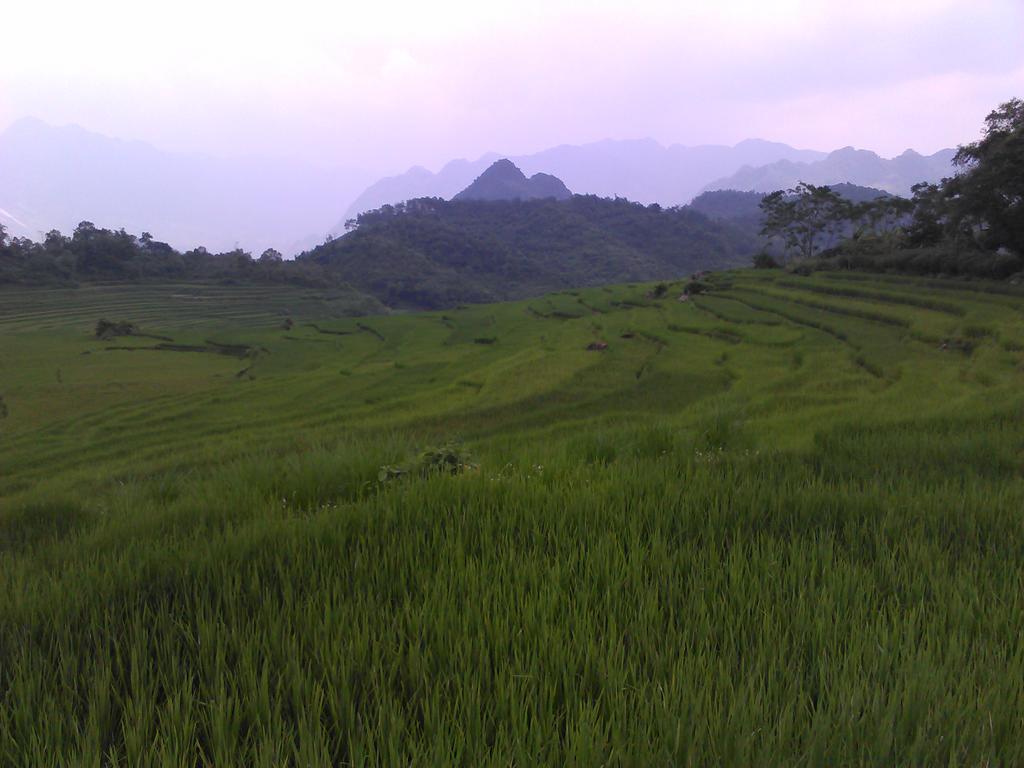 Eco Homestay Mai Chau Exterior photo