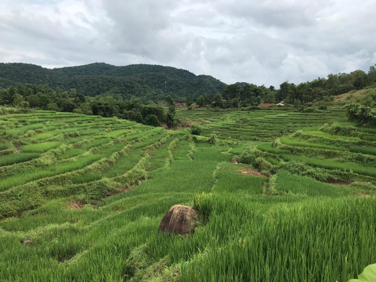 Eco Homestay Mai Chau Exterior photo